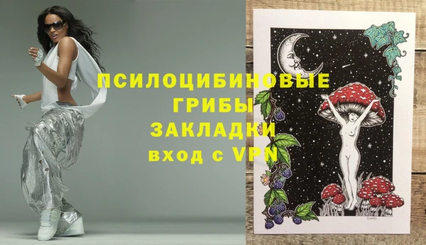 мдпв Бугульма