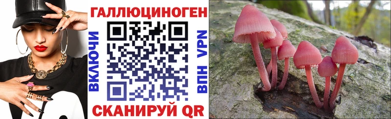 Галлюциногенные грибы мицелий  Емва 